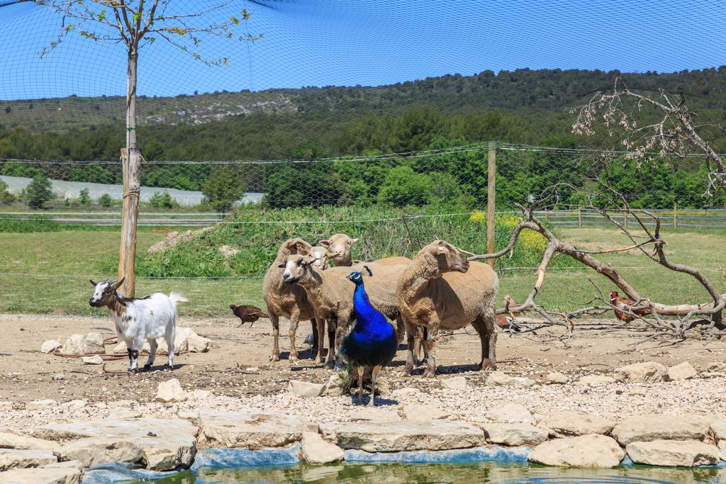 Lou Mas Li Pitchoun "Le Luberon " Villa Gordes Kültér fotó