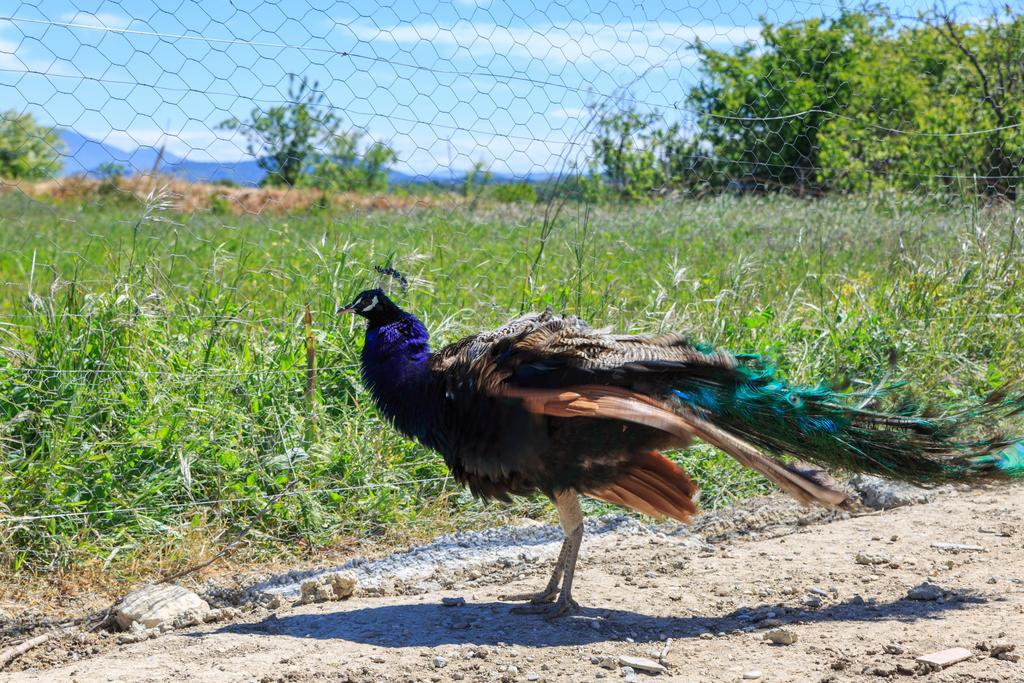 Lou Mas Li Pitchoun "Le Luberon " Villa Gordes Kültér fotó